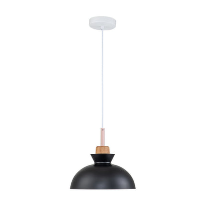 Modern Dome Pendant Light