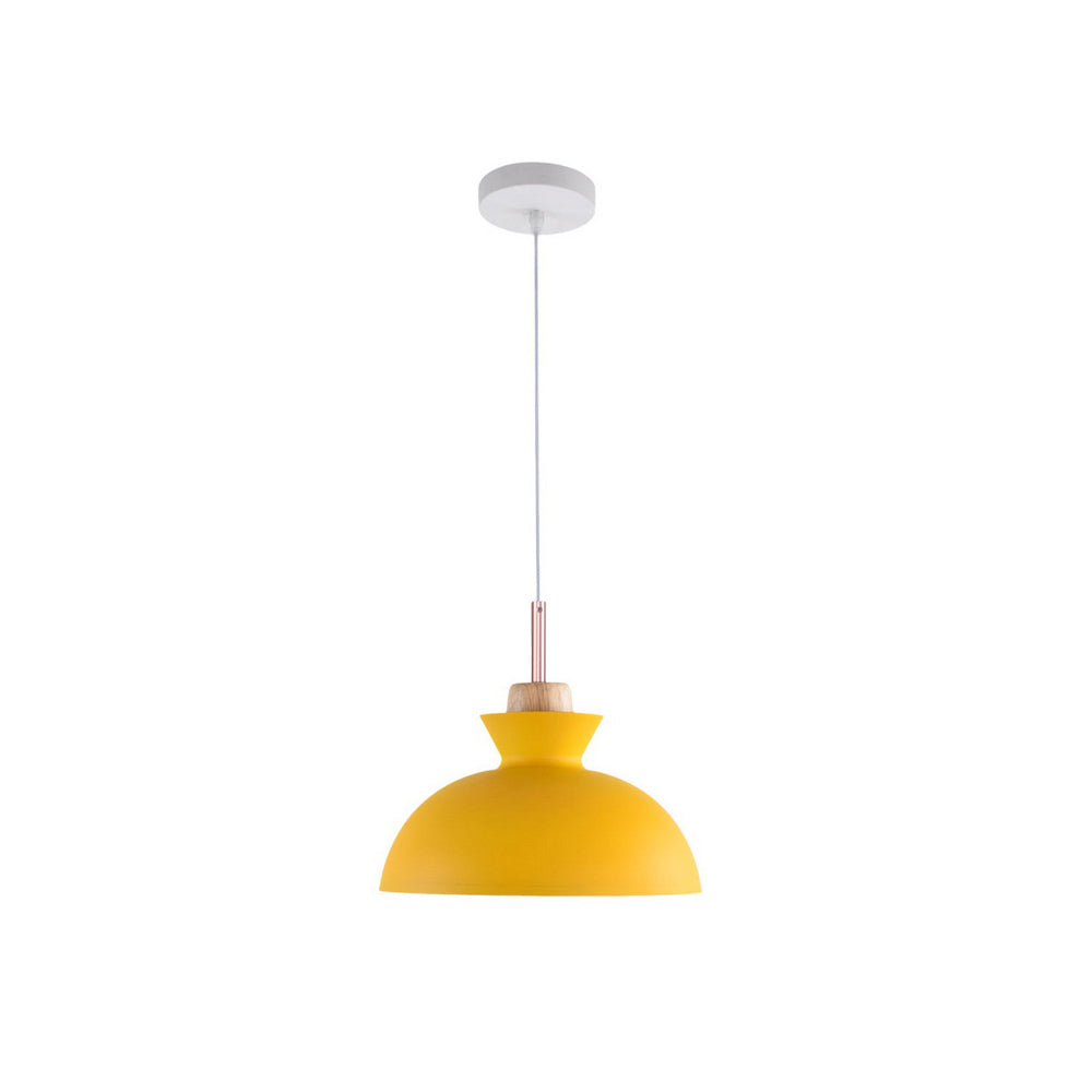 Modern Dome Pendant Light