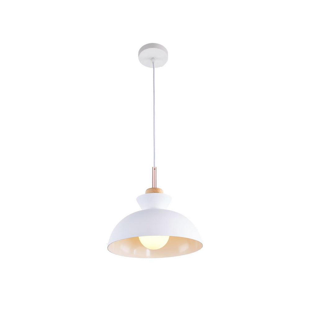 Modern Dome Pendant Light