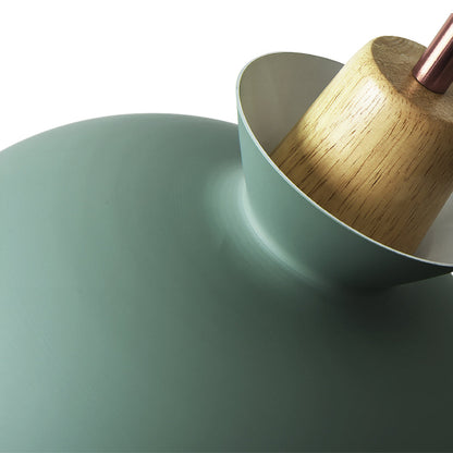 Modern Dome Pendant Light