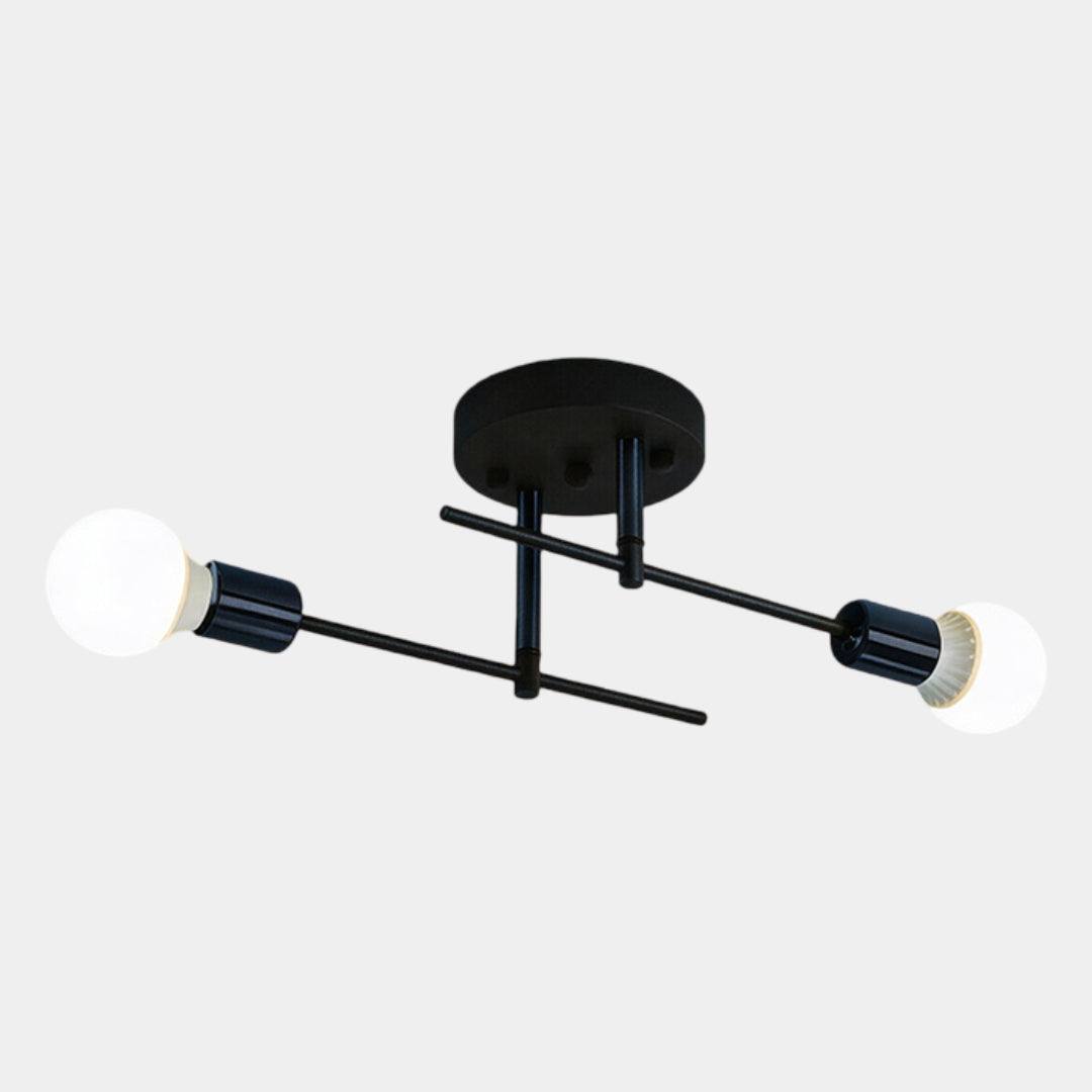 2-Light Black and Gold Flush Mount Ceiling Lamp