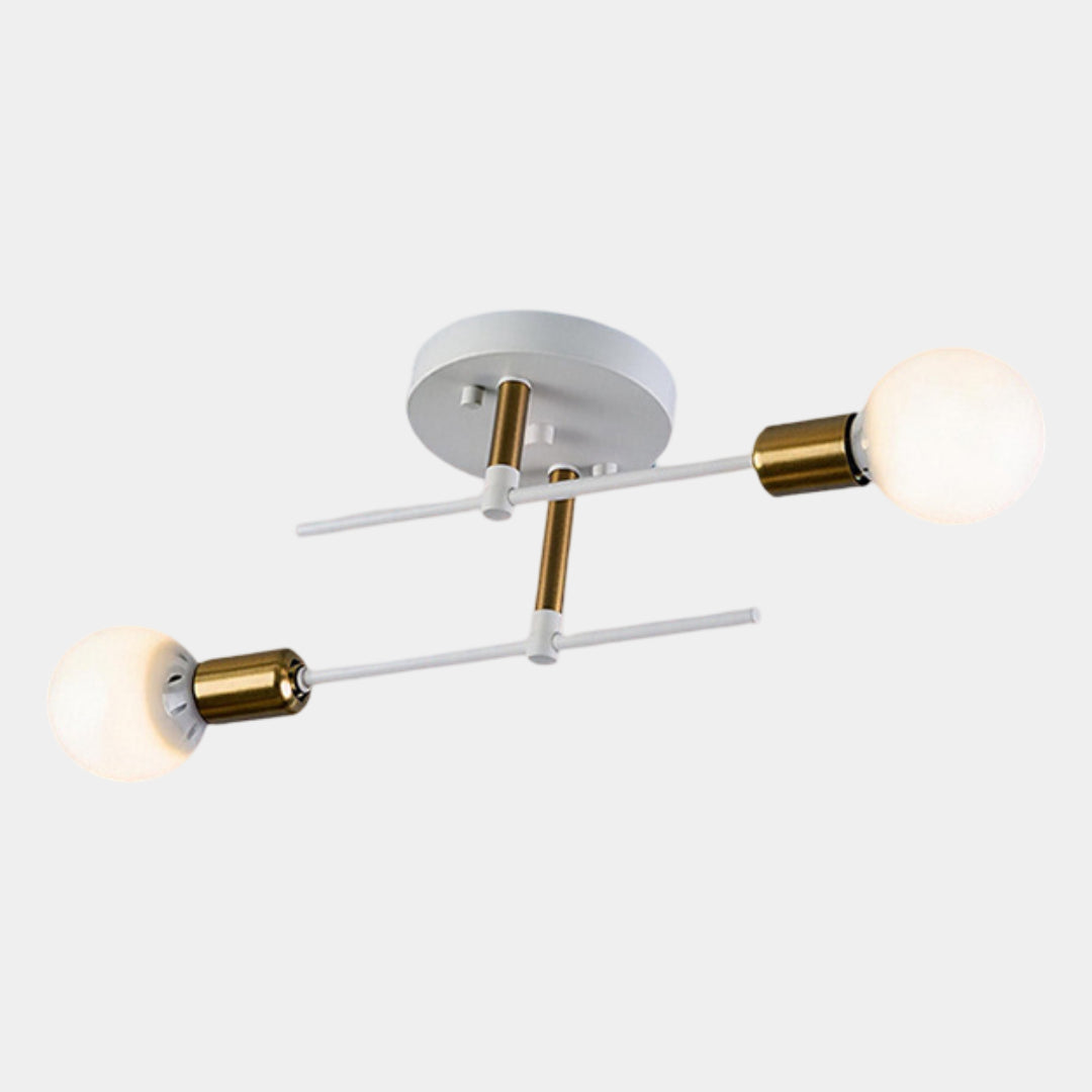 2-Light Black and Gold Flush Mount Ceiling Lamp