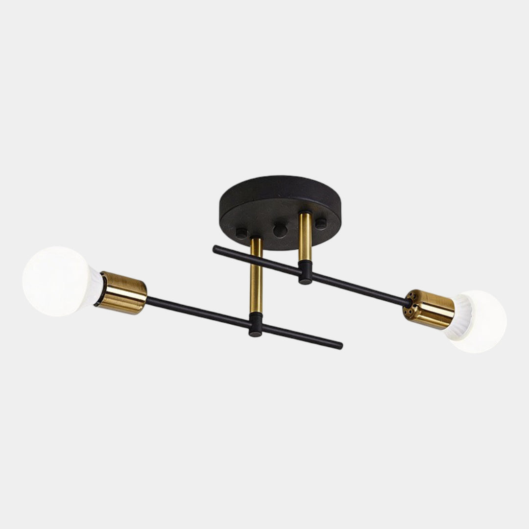 2-Light Black and Gold Flush Mount Ceiling Lamp