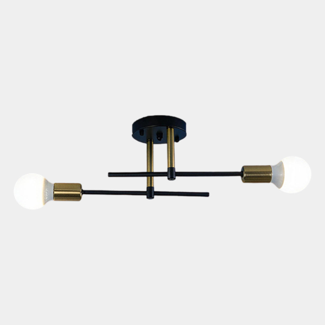 2-Light Black and Gold Flush Mount Ceiling Lamp