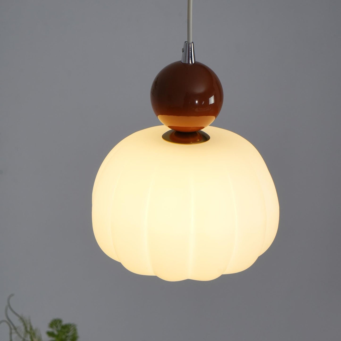 Yedra Acrylic Pendant Lamp