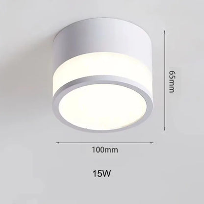 Nordic Surface Mounted LED Downlight