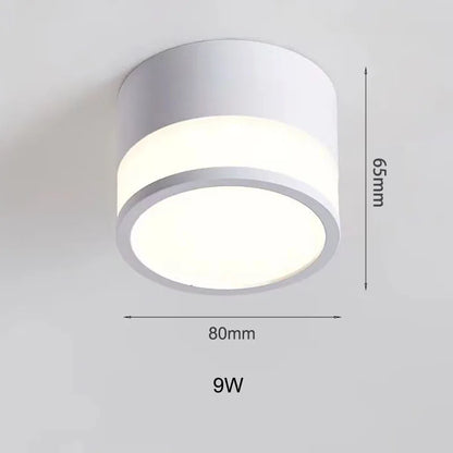 Nordic Surface Mounted LED Downlight