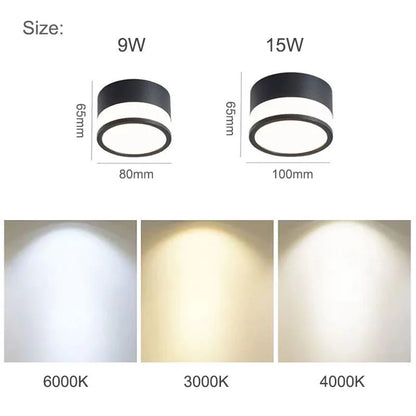 Nordic Surface Mounted LED Downlight
