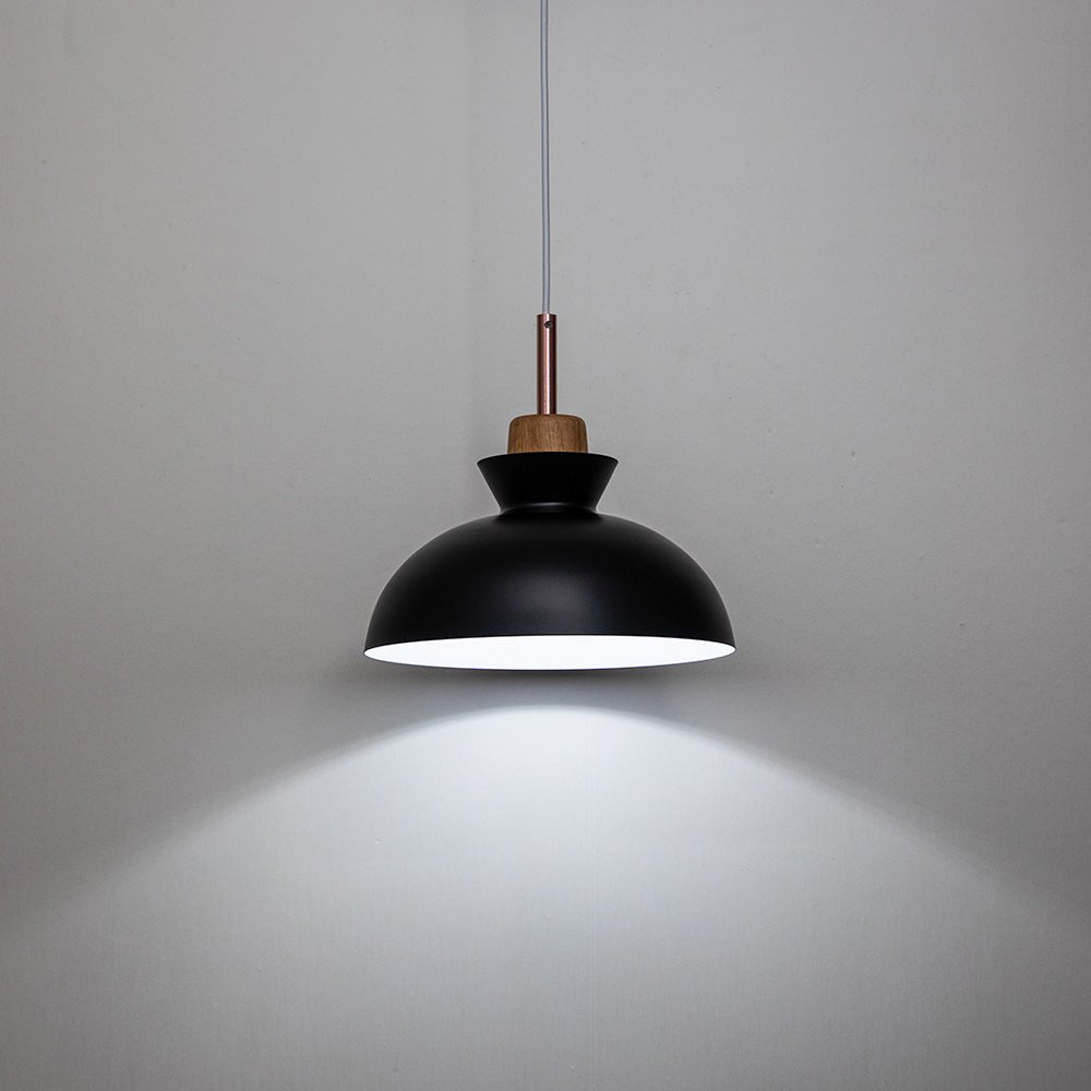 Modern Dome Pendant Light