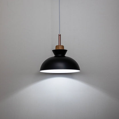 Modern Dome Pendant Light