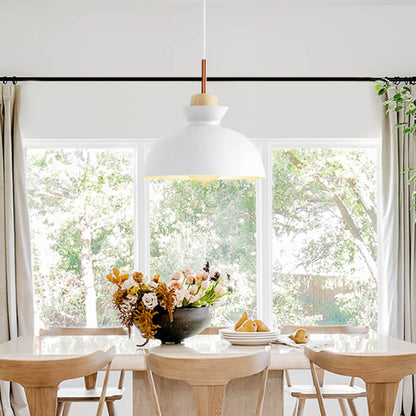Modern Dome Pendant Light